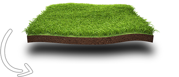 Fake Grass Melbourne Fake Grass Melbourne
